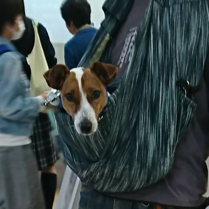 53ac7691 dc7a 4ec7 bf90 fa64163c1a9c 1538217885402