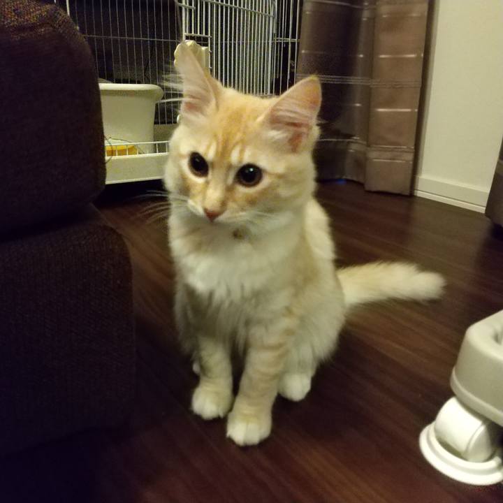 53ac8a07 51e8 4008 8a34 2e28cd03ce0b 1609796574614