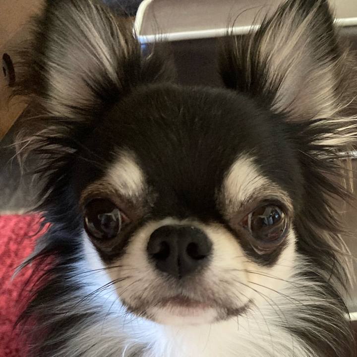 53ac92eb 7562 4cdc b17e 28602782d5ec 1615677083297