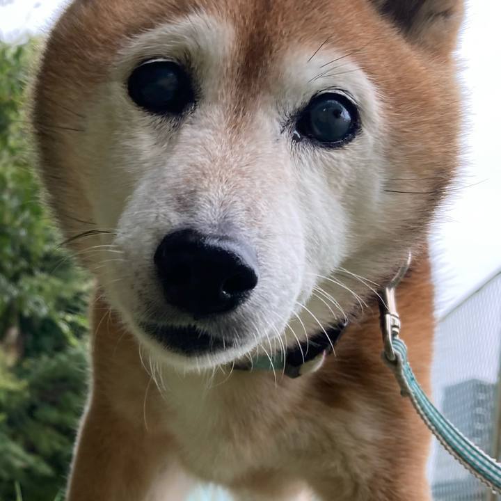 53ac97ea c789 4b2a 85a7 fd2248054a21 1761106316599