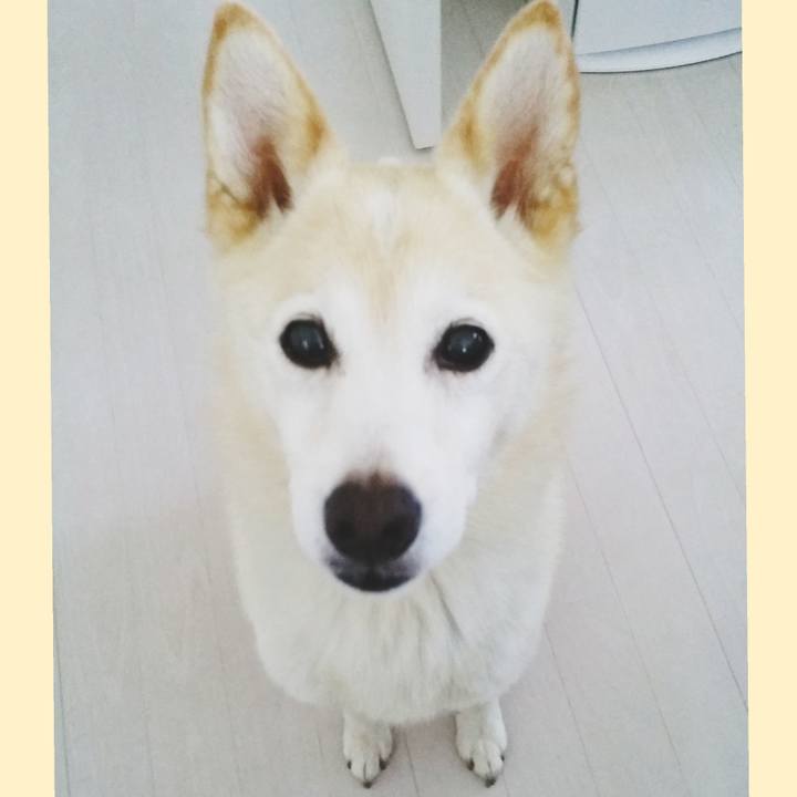 53acca0e 177d 444f a98c 8d018febcfe5 1565741211121