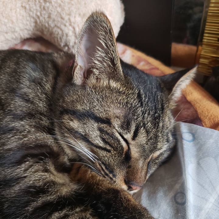 53acccec a9b1 49bb a206 48cfa0353559 1562294141157