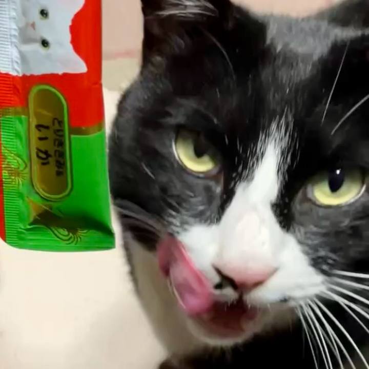 53acd868 1c4f 46f6 93fc 31d1210952a6 1740216332970