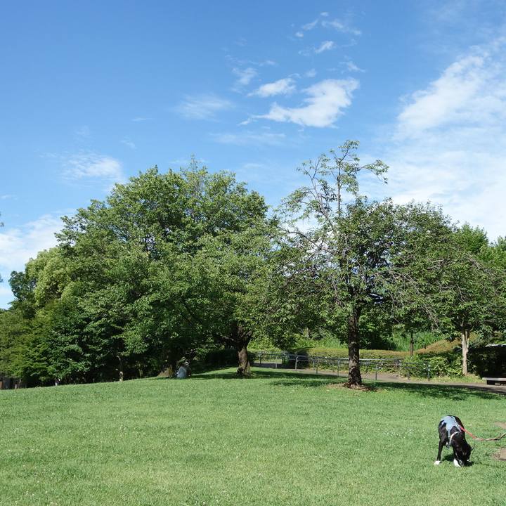 53acfe9e 1f89 4f27 b2e0 0c57aef1c76e 1719191131986