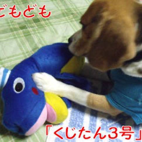 53ad498d e203 4a20 83b5 a233929494be 1719525752413