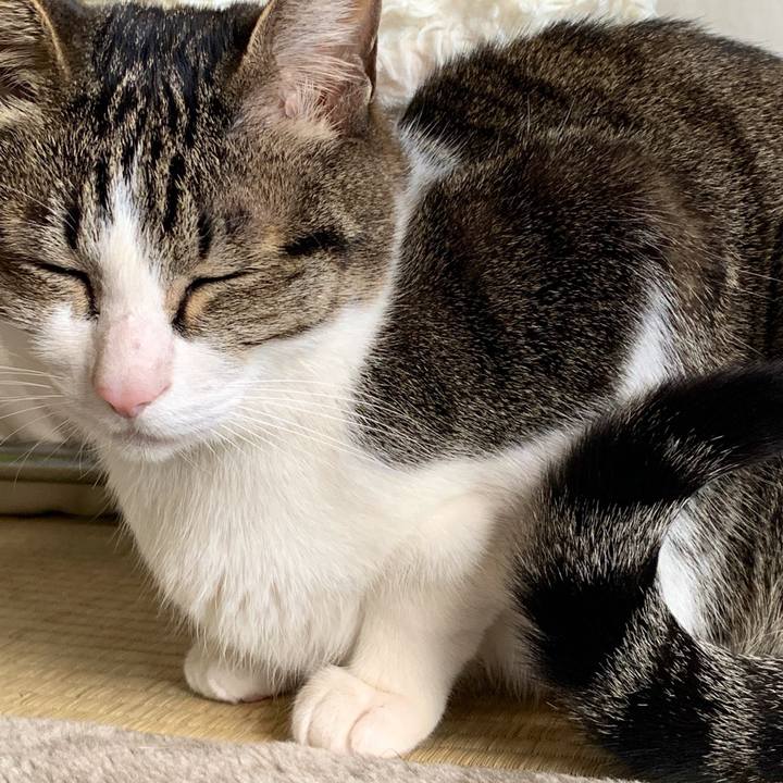 53ad69a3 9de5 4902 b41a 2932c4a777a1 1551178470972