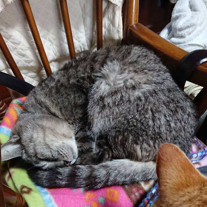 53ad926d daa8 4327 83a5 a6f3d6a50442 1577576838321