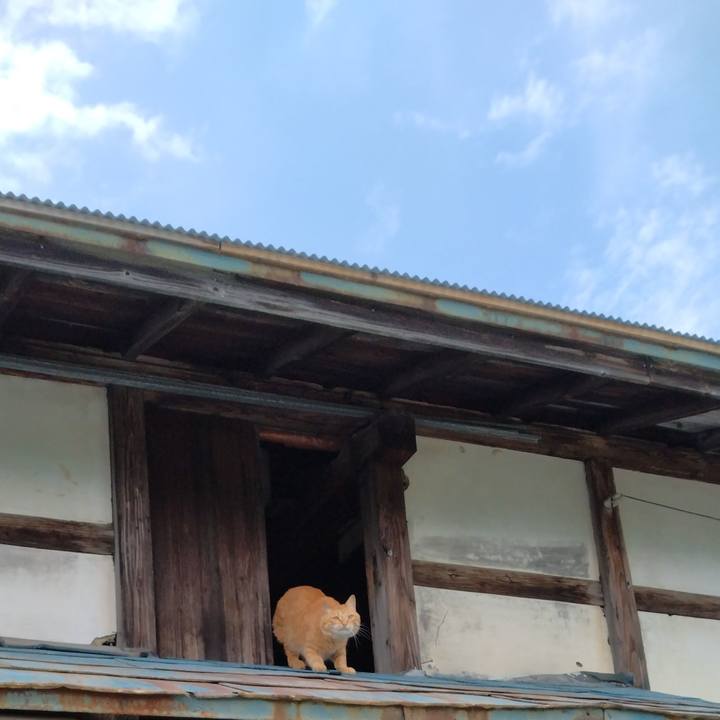 53adb4c9 c9b9 4c24 a11b a5ad032b59f3 1685429539125