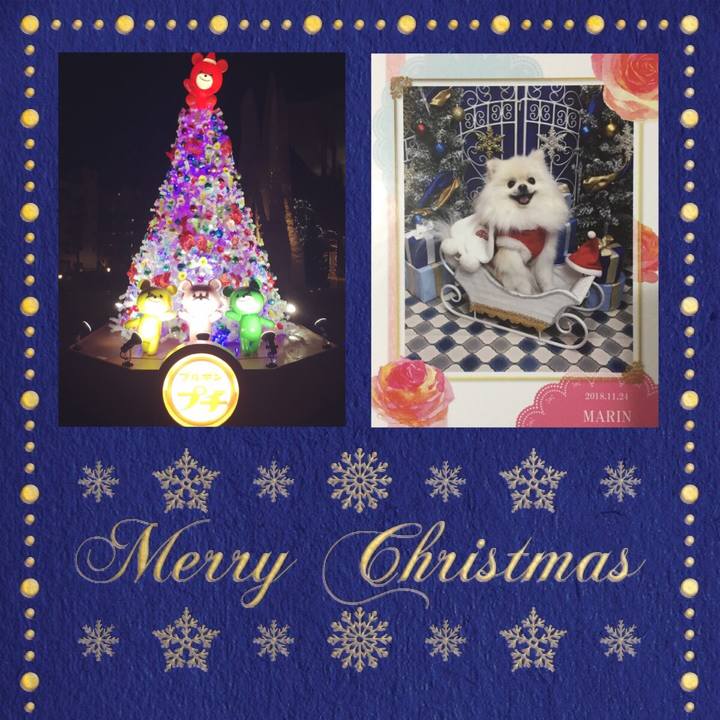 53adbf97 42ef 4f81 9b93 50ade2520151 1544533243822