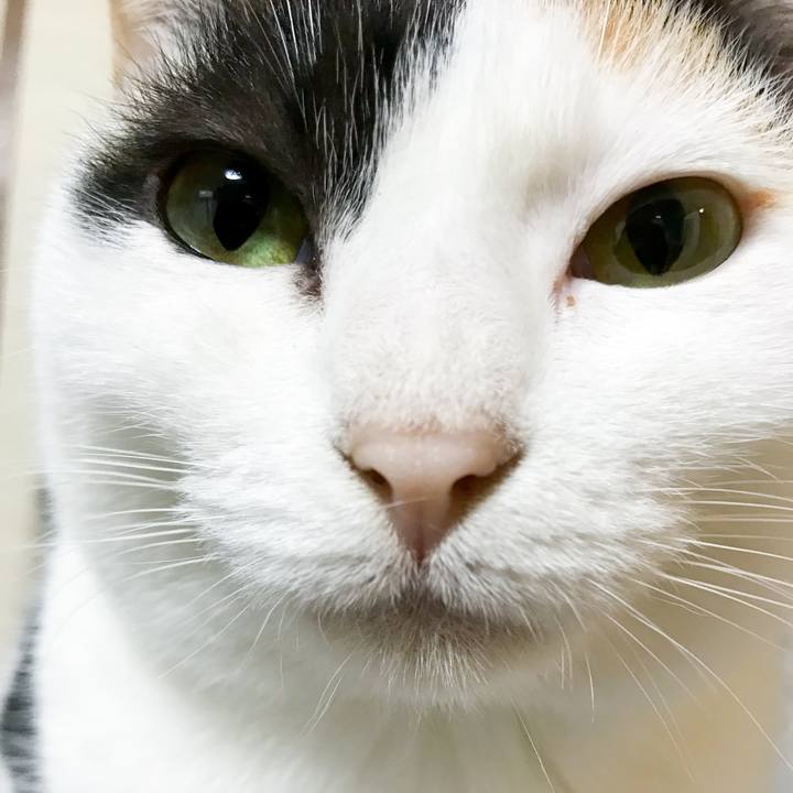 53adf393 4c61 41bf 8143 f48e0f766501 1515195318364