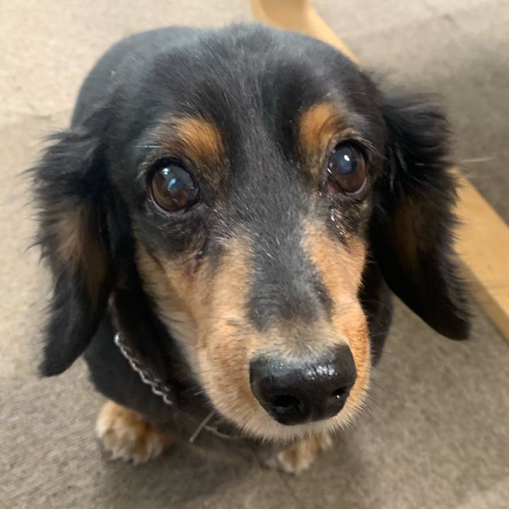 53ae4820 5160 461d ac1c 8edfab05f5b9 1573163438587