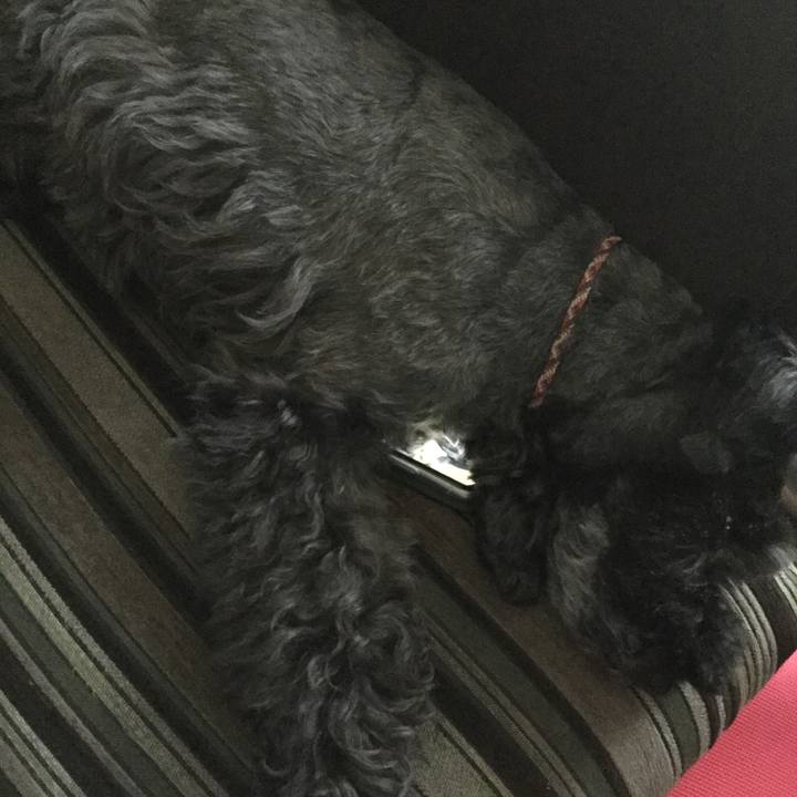 53ae5fdf 8382 4292 91fb 6a4724779c69 1597964350814