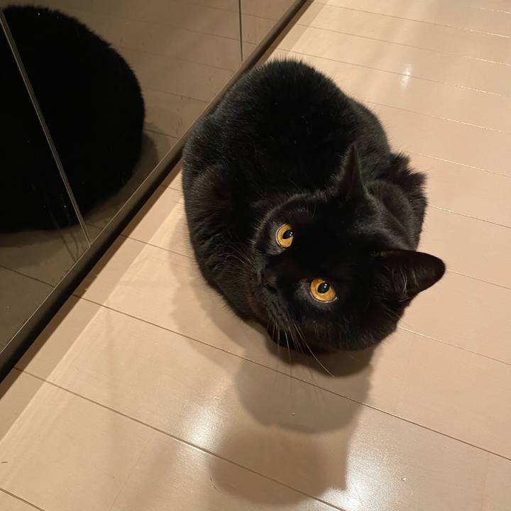 53ae66fb 315f 4032 b82e c1a558ab4fdd 1710590649778