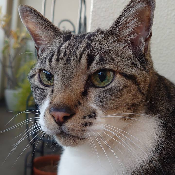 53ae7d33 f2b6 4f5f 9af0 b157f9a9f6c8 1708213897408