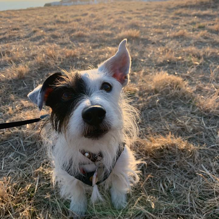 53ae851c 9ce8 4c81 8654 ba52fc11d0e1 1673261120883