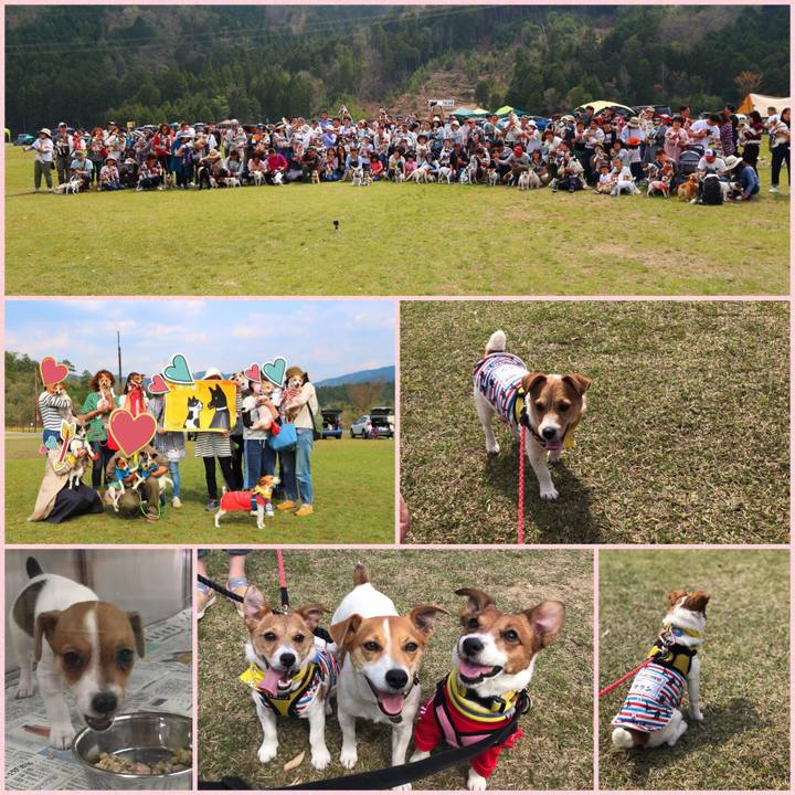 53ae915d 9e3d 4482 a03e 050d53cf8196 1555933498721