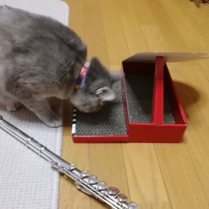 53aee1af c08f 4d4e a326 e4cce9d68d54 1551703029606