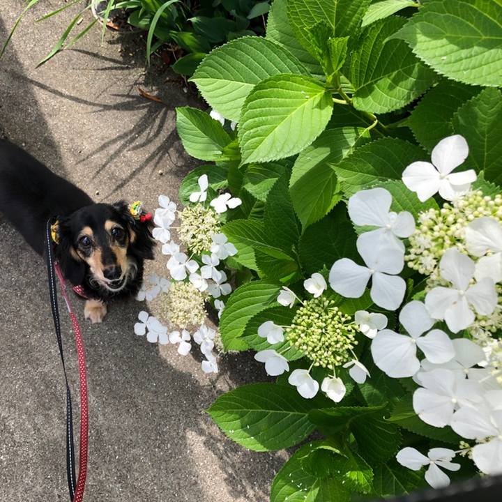 53af3416 47e0 40d9 b6c3 ee80f5eb0a00 1560298910404