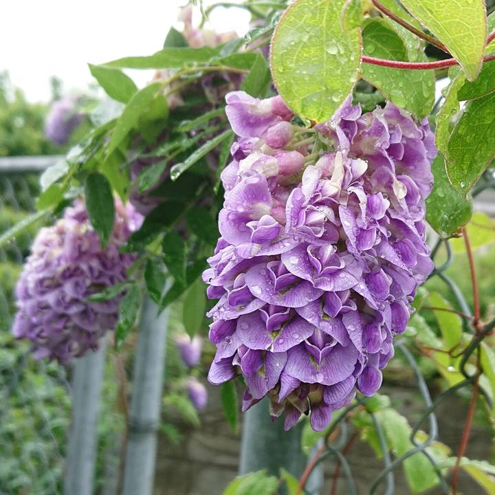 53af3a87 19bd 4e81 89d2 89dde453dc89 1652226276765