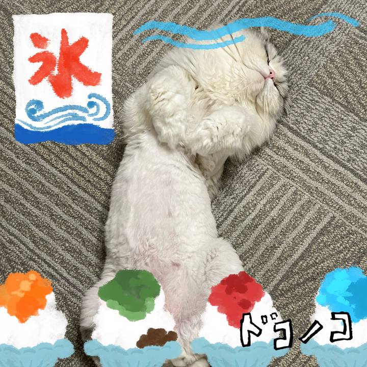 53af57b5 b586 4d57 b67b 8c507041f9a0 1723512375158