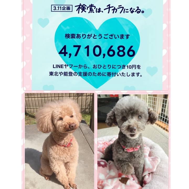 53af7b8c 102f 42d7 81c1 d9a7add60db4 1710132920988