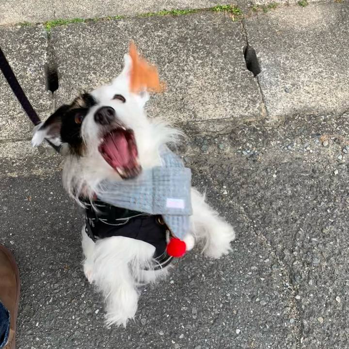 53aff6e8 f4a4 4b30 ab3b d65610ecfbcc 1704932697748