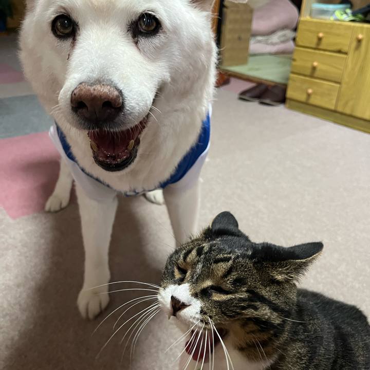 53aff8fa b797 475c 9d04 ce23daf82c85 1763858087569