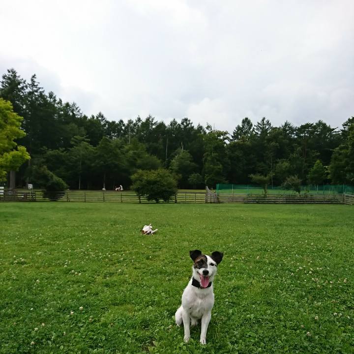 53b038ce 6131 447d aa3c 835cd2c83cca 1531285099186