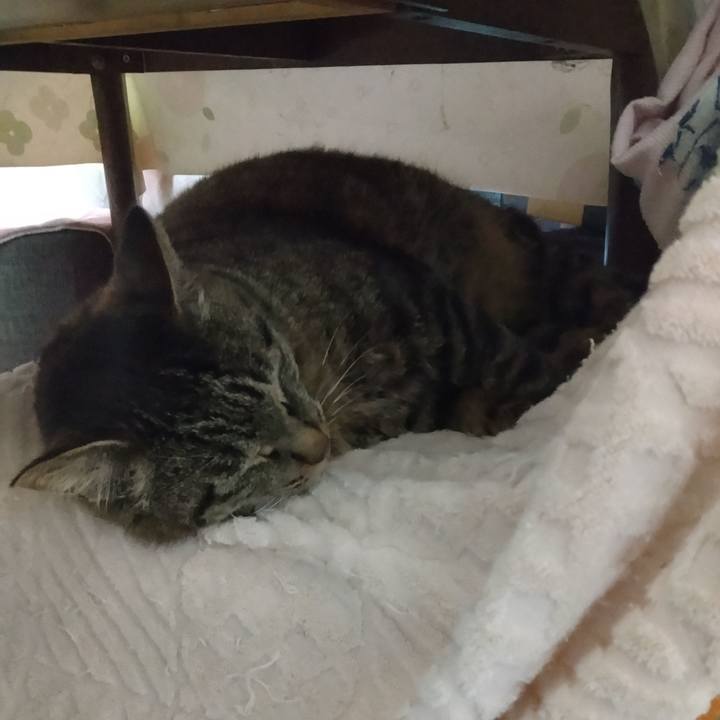 53b042fd d7d7 45d0 99f3 034168242a02 1683760407908