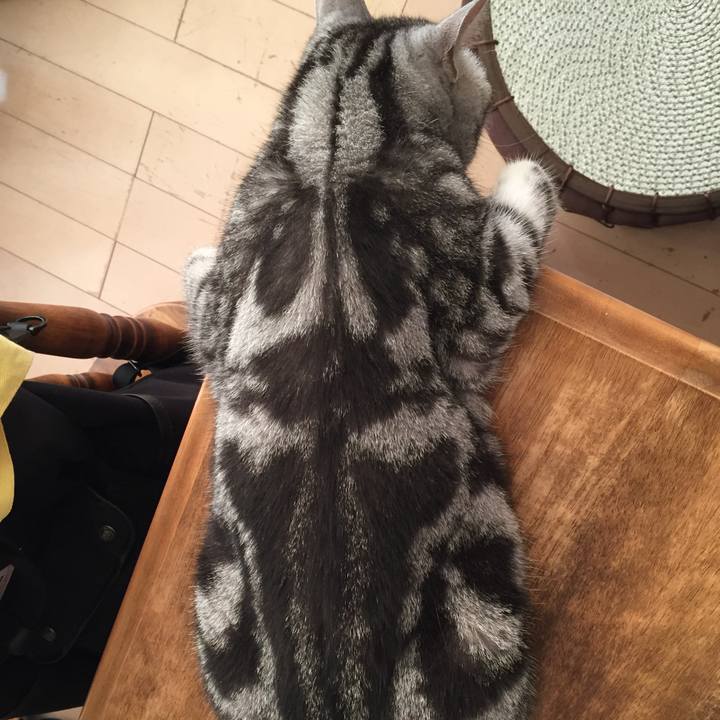 53b04446 a6c3 4938 93b8 f993cb37c0e5 1533069699235