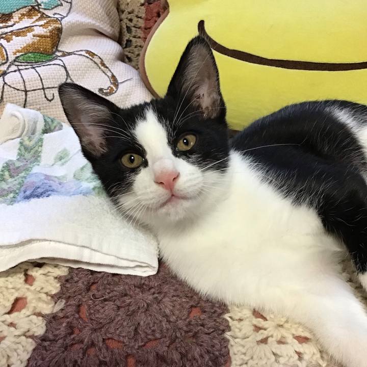 53b0583d e498 4a87 b345 4b95ba823878 1626582307711