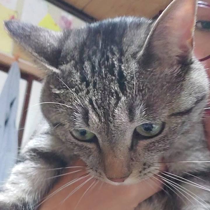 53b0806e a3ee 4525 836e 85c523c89c5f 1722580792809