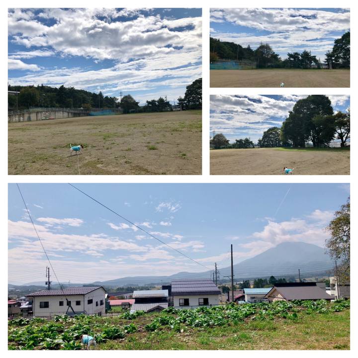 53b0a763 5b0f 47c6 bef6 d2cf0f90dfb9 1569752575555