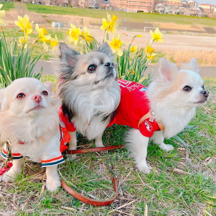 53b0a90f a90d 4aa3 8ac6 3d60c3752aec 1648204074504