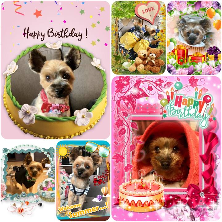 53b0d8ea 53e5 4859 9ad4 bf28de1dbc92 1594674954828