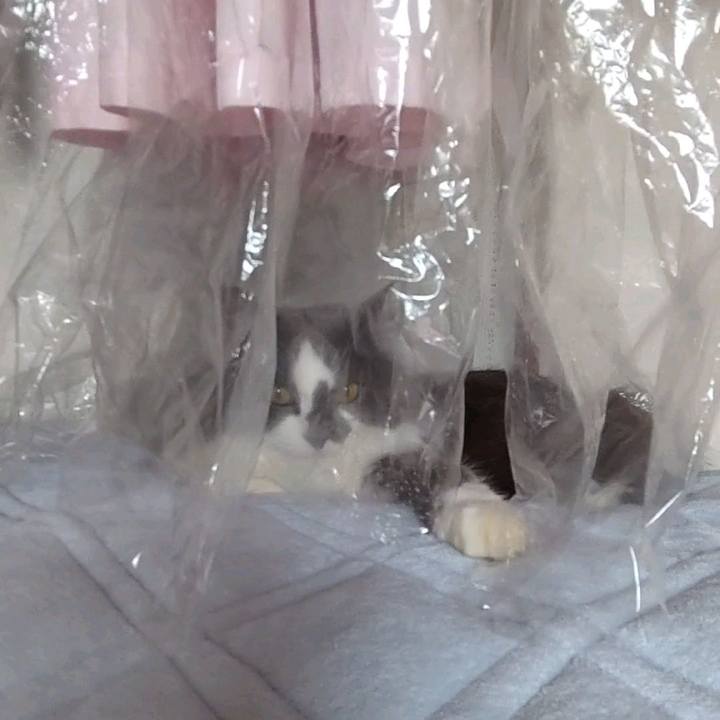 53b0e6c4 e998 49f2 97e8 917b9976389b 1651401869020