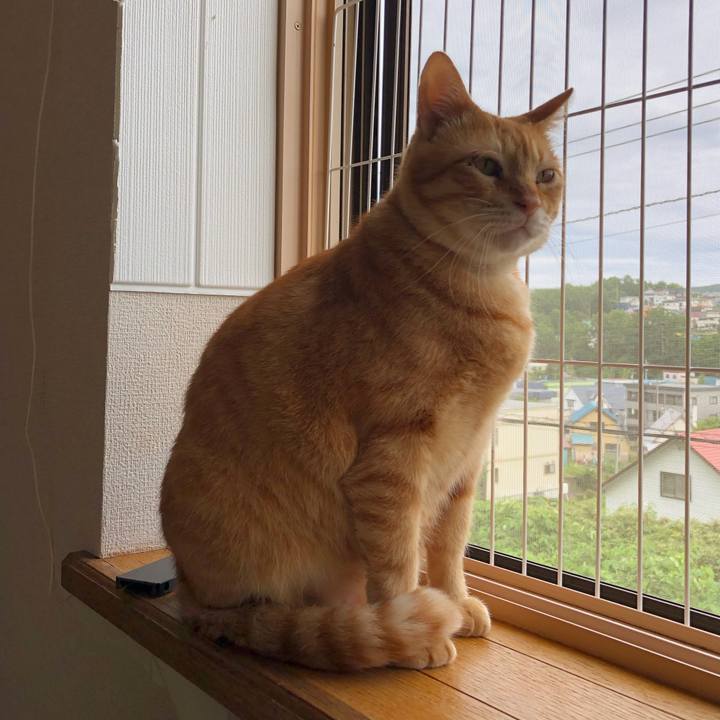 53b0e89e ae6f 47bf a97f aa4bb79b6780 1563057516919