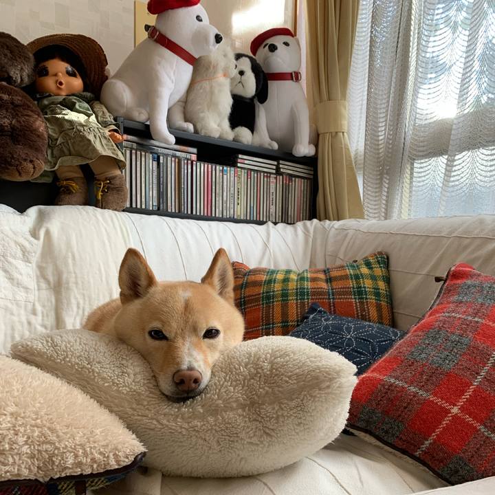 53b10022 b9cc 443c 87a9 acdd29a45775 1637285512851