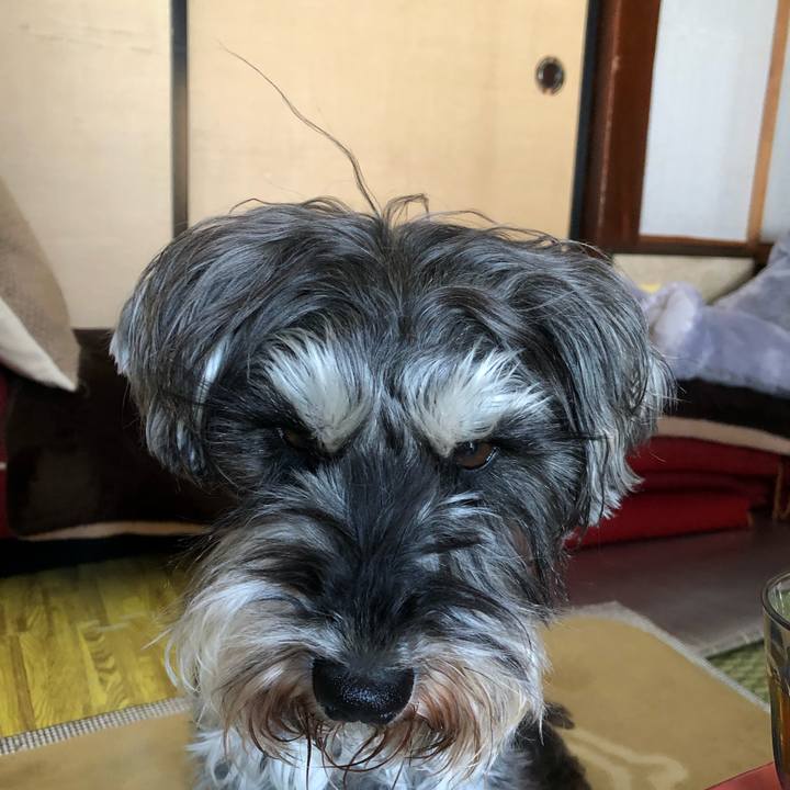 53b11a6a c99e 41c2 81a9 2b7d6ac31e5e 1552117181496