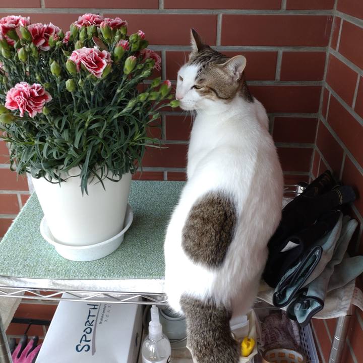 53b128ae 41bc 4f3a 8804 16140f443656 1651723368507