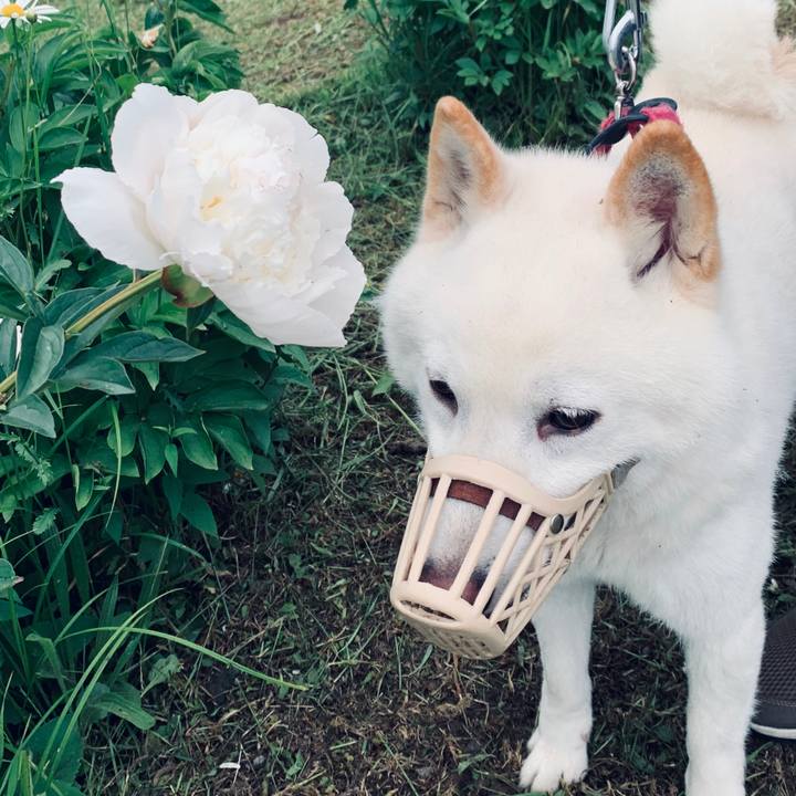 53b12ab1 f96b 46c4 95d7 0de1759d2c1e 1592858657113