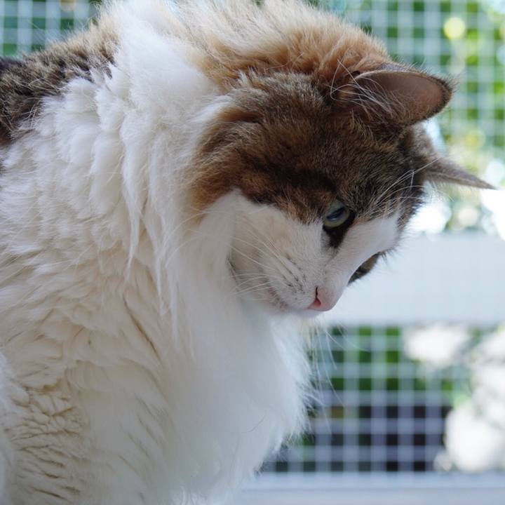 53b14bbc abc1 41cb 8c54 32664678c510 1656988478684