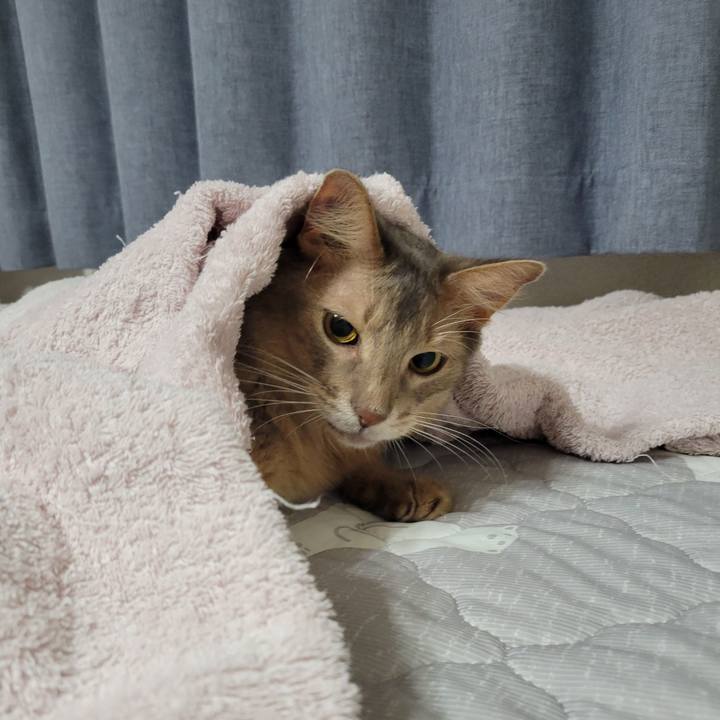 53b14cdc 64f7 4cd1 acfa 948bccbf2905 1691893928870