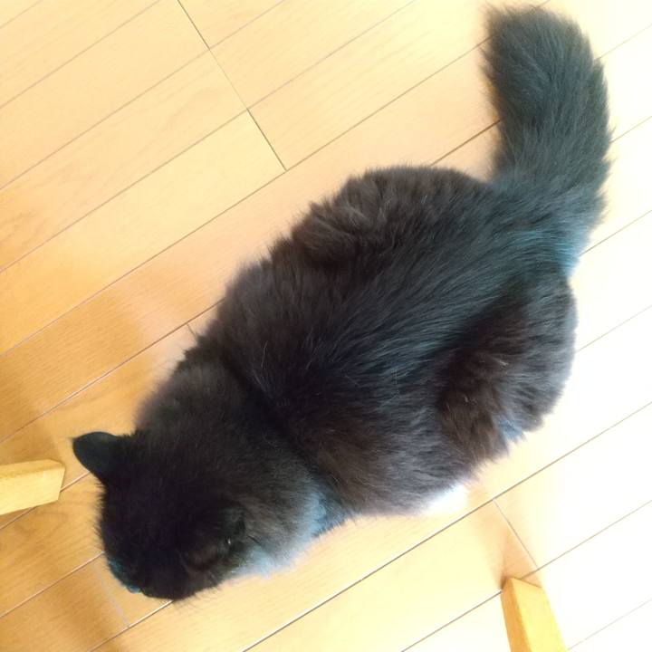 53b15e5d f8fe 4458 b89d 5adef6e9e9b0 1690862760582