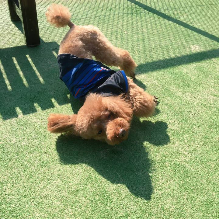 53b15e87 b804 4858 bafa 1dba0fca4d5e 1509961553015