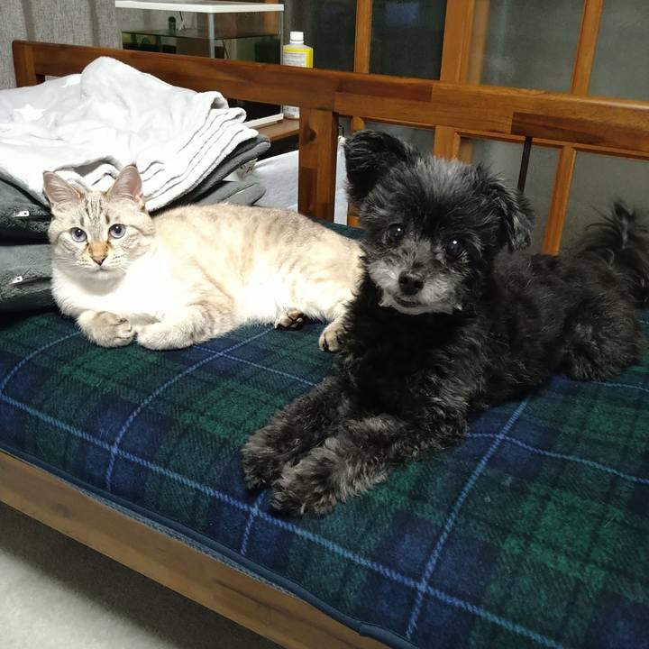 53b1617c 8ee2 4e07 89af 52863b657f5d 1697810477975