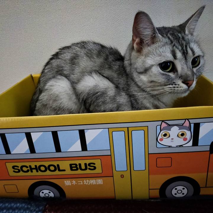 53b166e2 a74e 4816 991b 0d5c89166c85 1596611964554