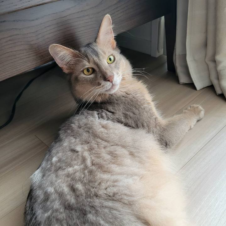 53b17581 462c 4a77 87b0 d889c24f0dd6 1658808734147