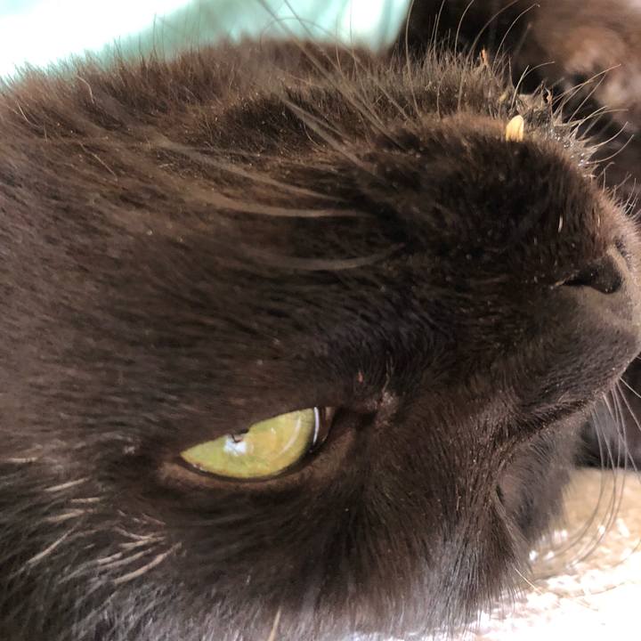 53b17f2f b758 4828 9204 325a1895fabf 1626911074339