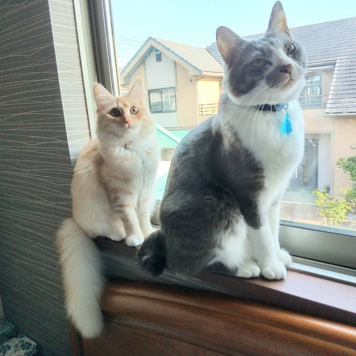 53b18d08 b411 4358 b1b4 72109e6c88af 1617926296097